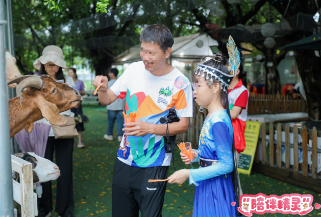 图片 19.png 图片 19.png